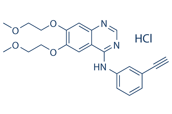 Erlotinib HCl (OSI-744)