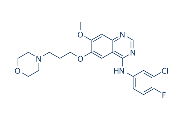 Gefitinib (ZD1839)