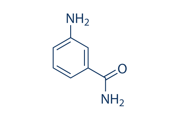 INO-1001 (3-Aminobenzamide)