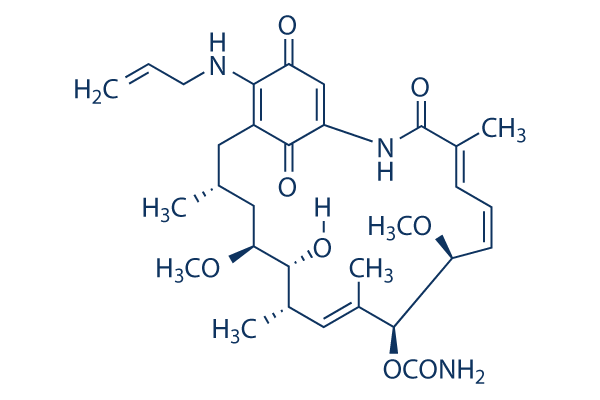 Tanespimycin (17-AAG)