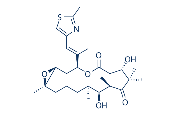 Patupilone (EPO906, Epothilone B)