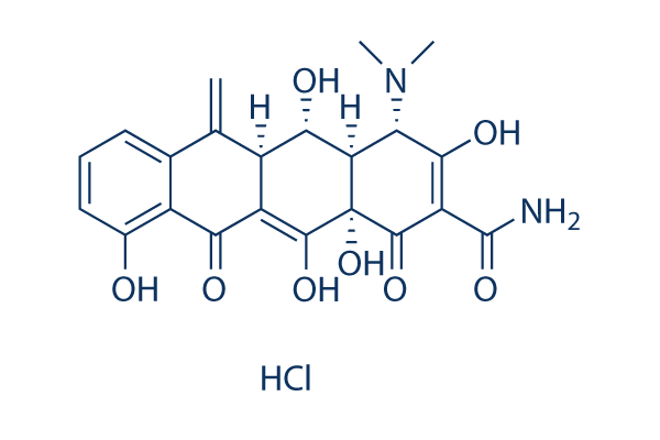 Methacycline HCl