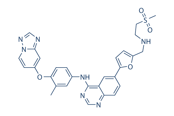 HER2-Inhibitor-1