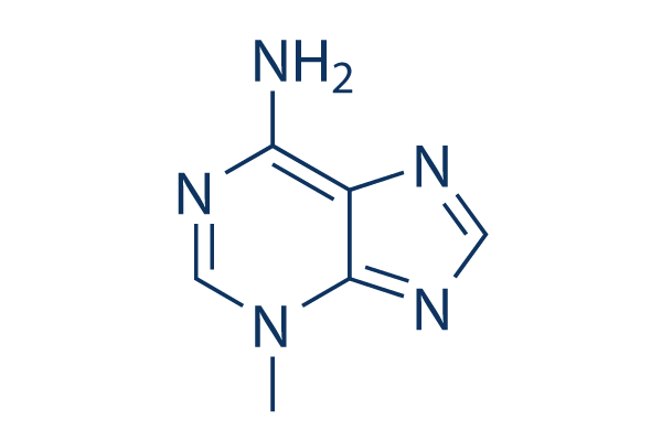 3-Methyladenine (3-MA)
