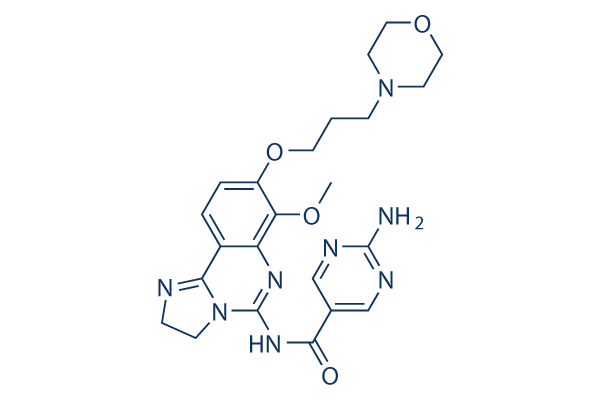 Copanlisib (BAY 80-6946)