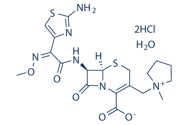 Cefepime Dihydrochloride Monohydrate
