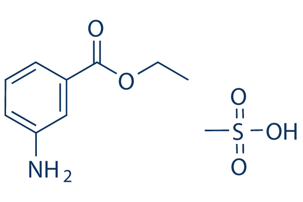 Ethyl 3-Aminobenzoate methanesulfonate