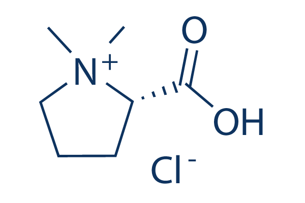 Stachydrine hydrochloride