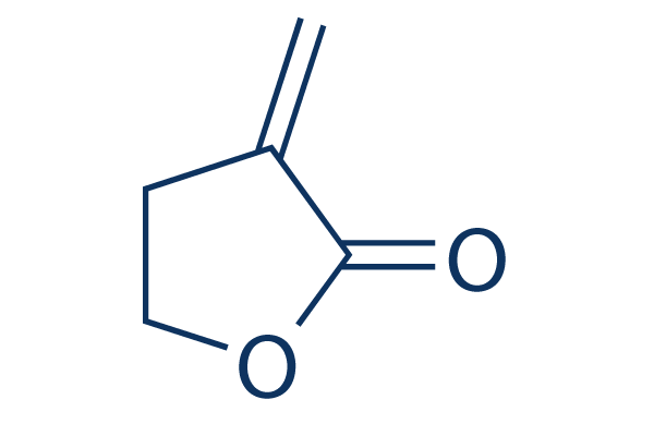2-Methylenebutyrolactone