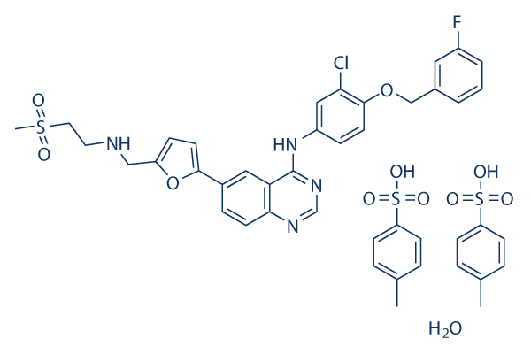 Lapatinib ditosylate monohydrate