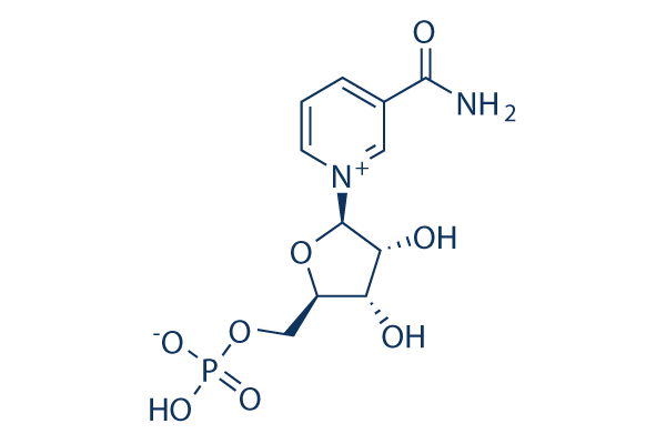 &beta;-Nicotinamide Mononucleotide