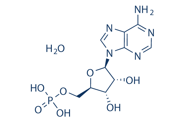 Adenosine 5\'-monophosphate monohydrate