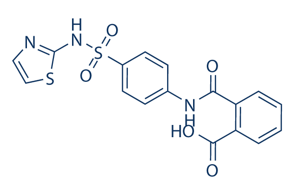 Phthalylsulfathiazole