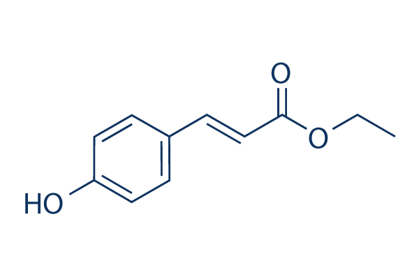 p-Coumaric acid ethyl ester
