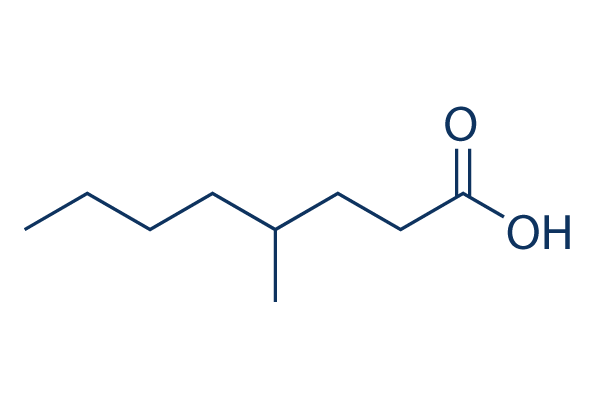 4-Methyl-n-octanoic Acid