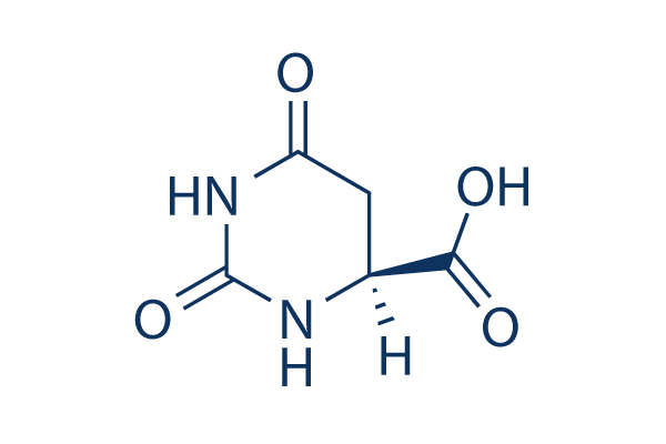 L-Hydroorotic acid