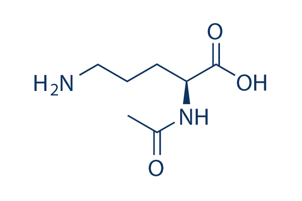 N-Acetylornithine