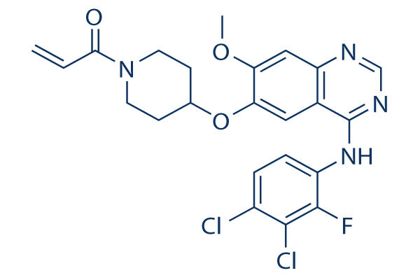 Poziotinib (HM781-36B)