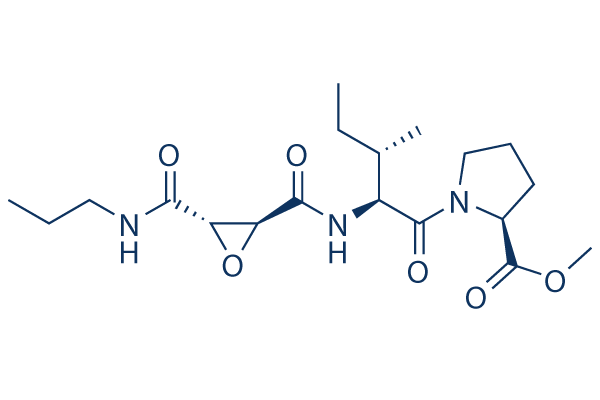 CA-074 methyl ester (CA-074 Me)