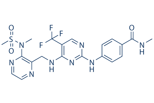 Defactinib (VS-6063, PF-04554878)