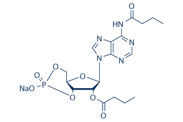 Dibutyryl-cAMP (Bucladesine)