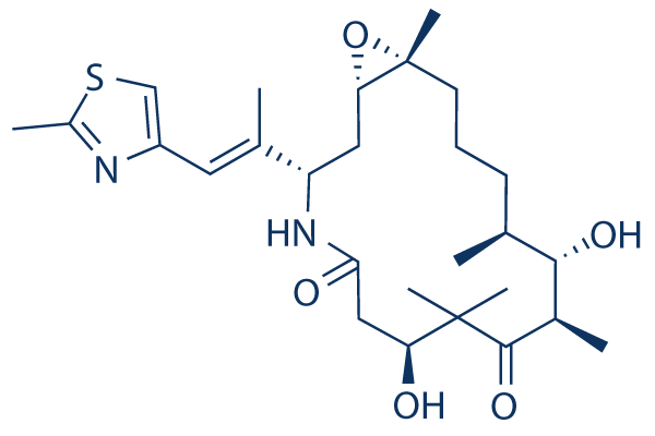 Ixabepilone (BMS-247550)