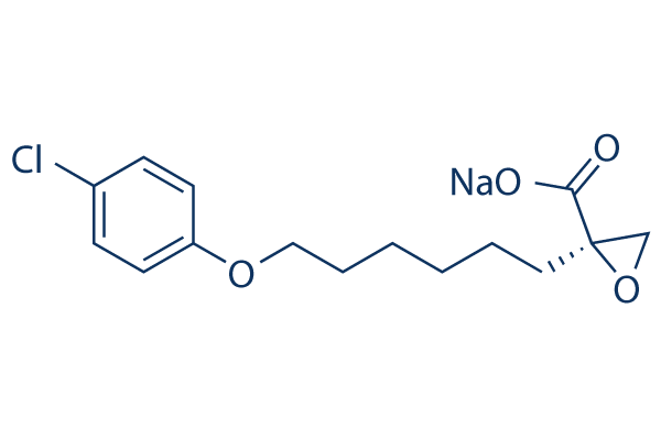 Etomoxir (Na salt)