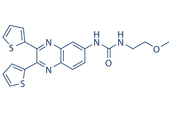 ACSS2 inhibitor