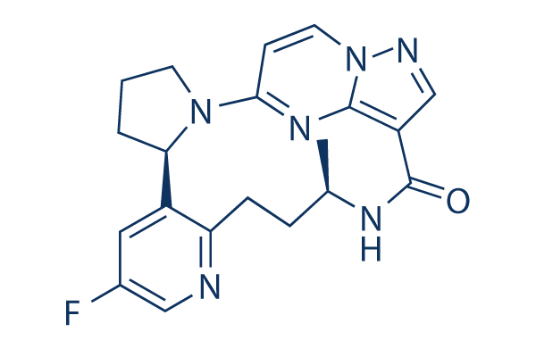 Selitrectinib（LOXO-195)