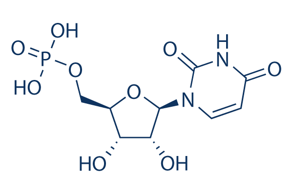 Uridine 5\'-monophosphate